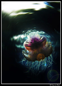 Spaced out... by Dray Van Beeck 